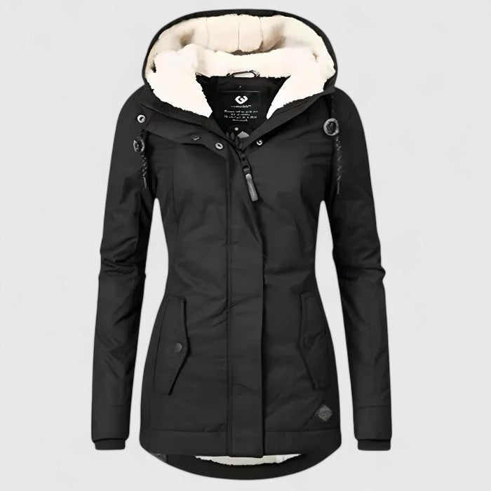 Women's Sophisticated Coat in Six Colors